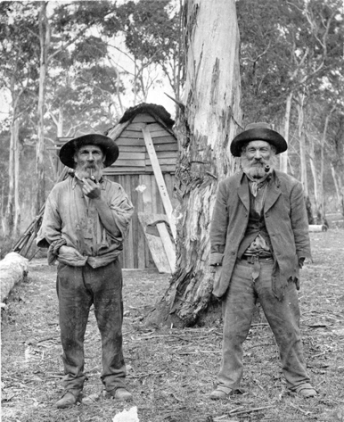 Monochrome photo of timber getters, courtesy New South Wales Forestry Commission